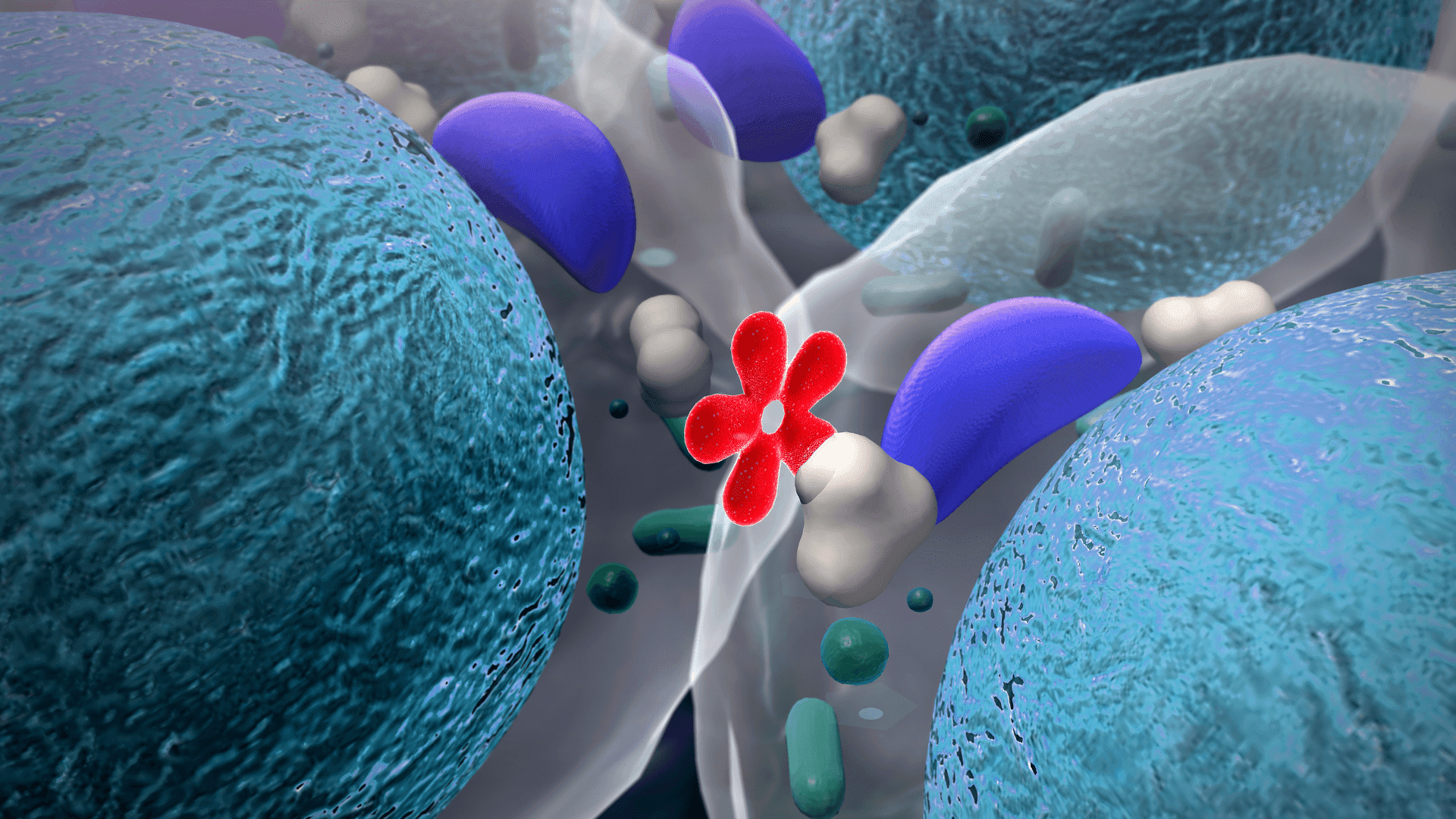 Illustrazione 3D di cellule e recettori, con sfere azzurre e molecole viola e bianche su fondo blu